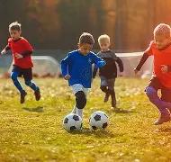 平博体育,产品,平博体育官网,平博体育,平博体育官网,平博体育官方,平博体育下载