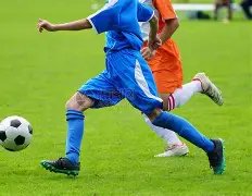 平博体育,产品,平博体育官网,平博体育,平博体育官网,平博体育官方,平博体育下载