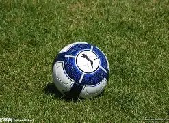 林庭谦三分,盛宴,赛季新高达,平博体育,平博体育官网,平博体育官方,平博体育下载