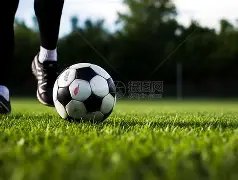 塞拉利昂对,阵埃及,齐佐独揽全,平博体育,平博体育官网,平博体育官方,平博体育下载