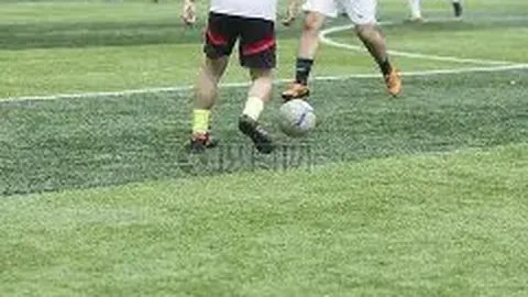 平博体育 产品 122736 toy